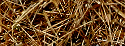 neba 5639.jpg