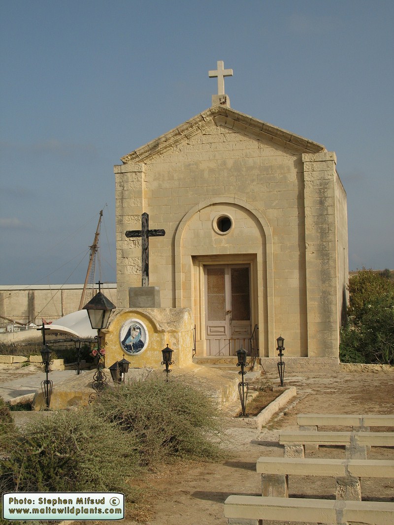 Cemetry.jpg