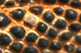 2222a.jpg
