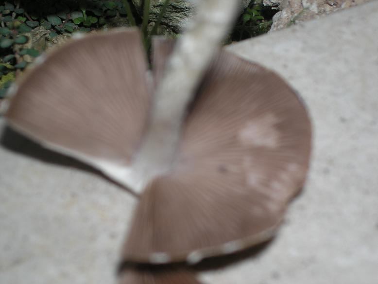 P1010137.JPG