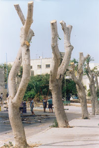 901.jpg