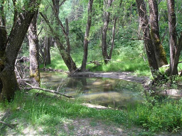 Nebrodi mts valley