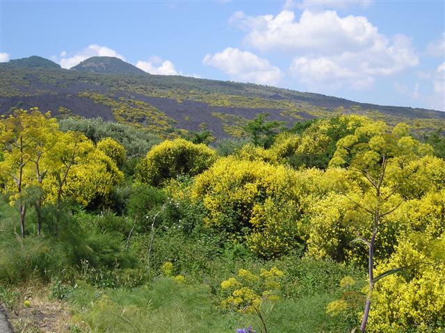 on etna