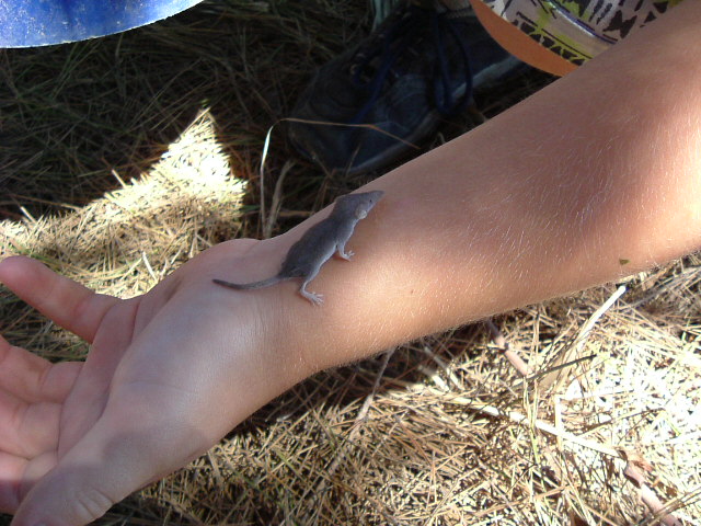 DSCF0740.JPG
